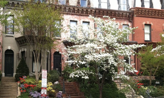 Dupont Circle House | Exceptional home & location in Dupont Circle
