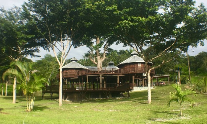 Bullet Tree Falls Villa | Exotic High End Unique Off-The-Grid Treehouse, steps away from the Mopan River!