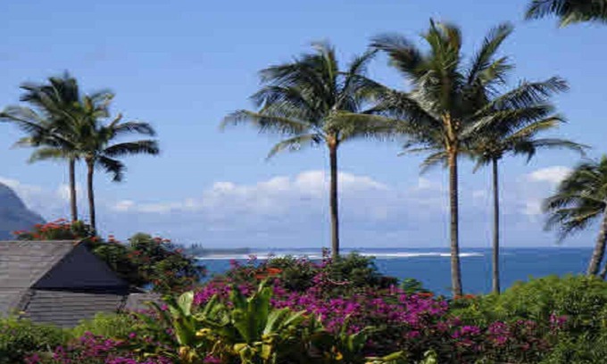 Princeville Apartment | Experience the Island Paradise of Kauai's North Shore from above the Treetops.