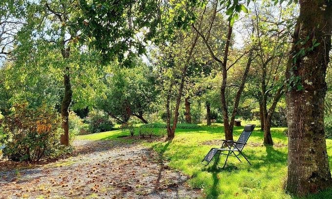 Saint-Thomas-de-Courceriers Bed & Breakfast | Family-Friendly Treehouse with Modern Comforts, Farm Animals, Pool, and Fishing Near Historical Sites