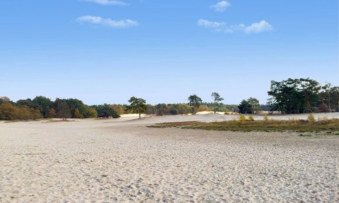 Bosgebied Hotel | Family-Friendly Hotel Stay Near Soestduinen and Amersfoort Zoo - 3 Units
