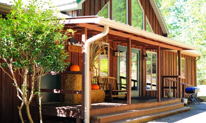 Townsend Cabin | Family/Group Lodge with Spectacular Mtn. Views/Hot Tub/Game Tables/WIFI