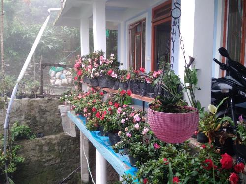 Turuk House | Family Holiday Homestay Kalimpong