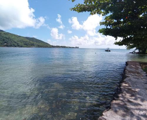 Paopao House | FaraTea Bay house