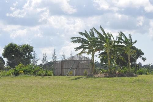 Galu Other | Farming In Rhythm
