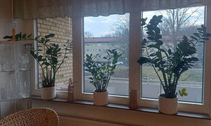 Linkoping Bed & Breakfast | Feel Like Your own Home