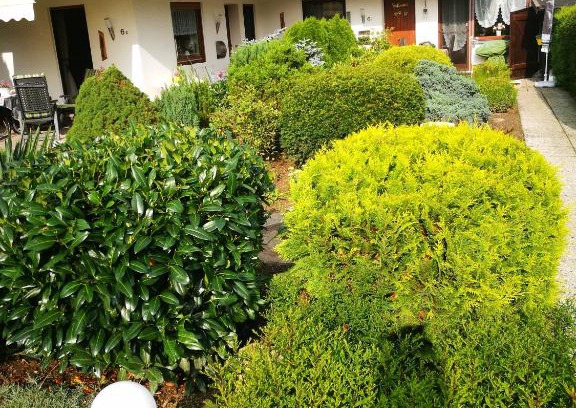 Glindfeld Apartment | Feriendomizil-Sauerland FeWo 2