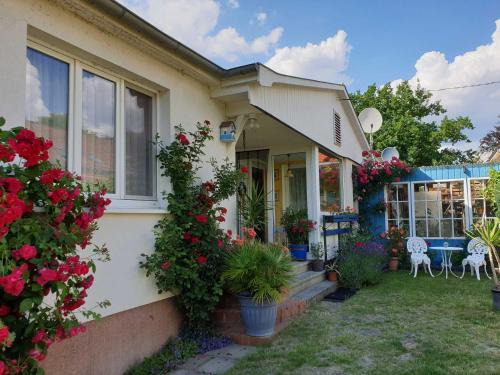Krakow am See House | Ferienhaus am See