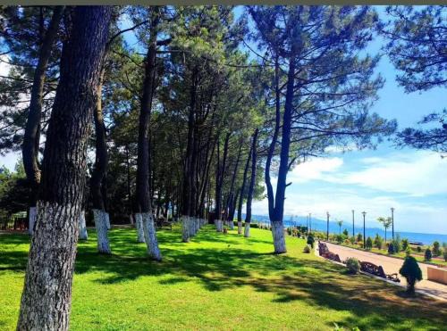 Kobuleti House | Ferienhaus in Georgien, Kobuleti in der Nähe vom Strand