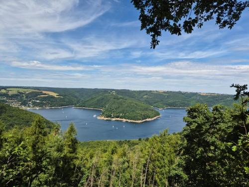 Dedenborn House | Ferienhaus Waldblick für max 10 Personen und 4 Hunde