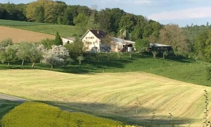 Schneisingen Apartment | Ferienwohnung/app. für 4 Gäste mit 60m² in Schneisingen