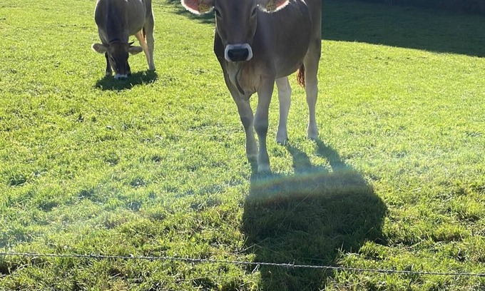 Weiler im Allgau Apartment | Ferienwohnung am Kräutergärtchen