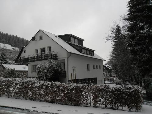 Silbach Apartment | Ferienwohnung Haus Kloosterman