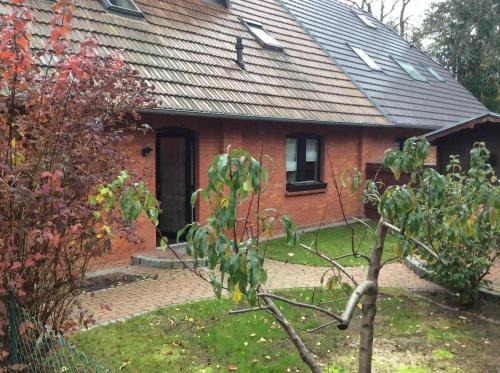 Neustrelitz Apartment | Ferienwohnung In Neustrelitz Mit Garten Und Grill