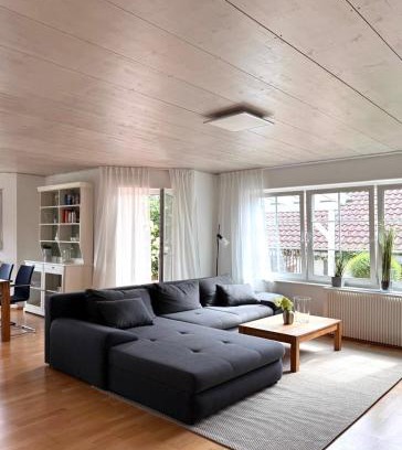 Schutterwald Apartment | Ferienwohnungen Archie oder Lilli,Nähe Europa Park, Strasbourg, Schwarzwald