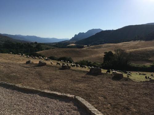 Sartene Bed & Breakfast | Ferme de Roccapina