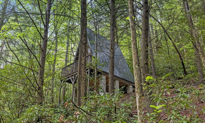 Pine Ridge Apartment | Fern Grove - Camping Cabin Retreat in RRG KY!