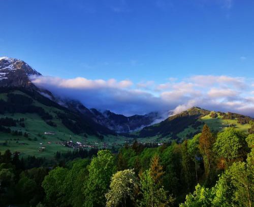 Adelboden Apartment | FeWo Fernsicht Crystal