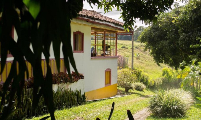 Filandia House | Finca Cafetera en el Quindio