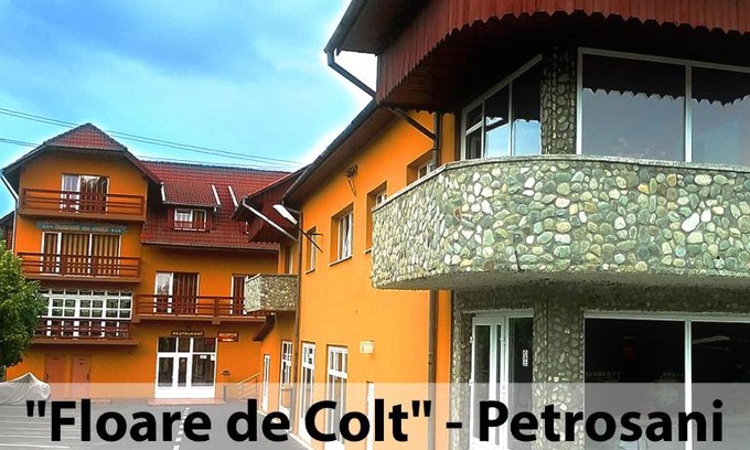 Petrosani House | Floare de Colt Petrosani