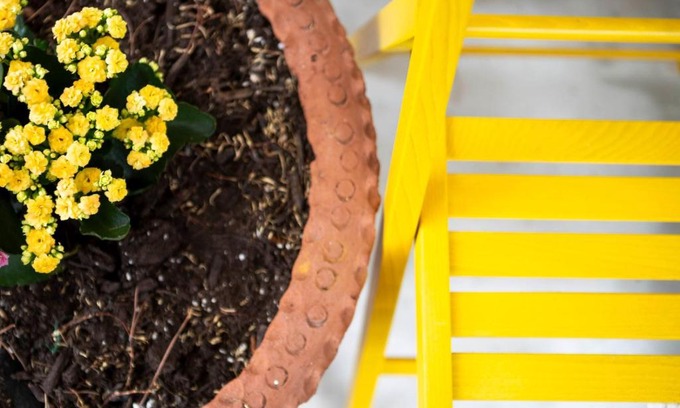 Trimiklini House | Floropounta