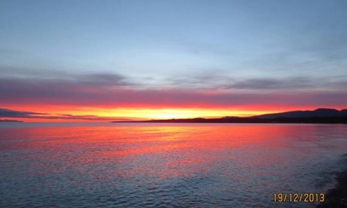 Regional District of Nanaimo House | Forest Retreat in your home away from home!