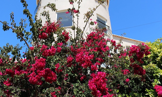 Portimao House | Fountain Court and Spa. Private setting. Pool. Spa. Gym.