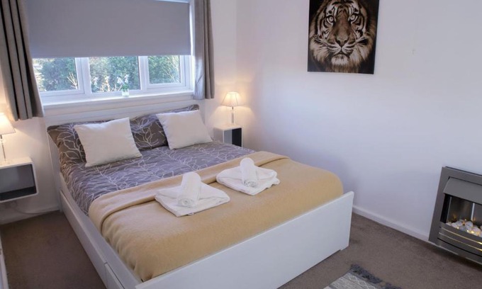Newmarket Apartment | FREE parking, Central Location,1 Bedroom Apartment near Tattersalls