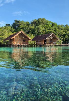 Raja Ampat Cabin | Friwen Mangrove Eco Lodge