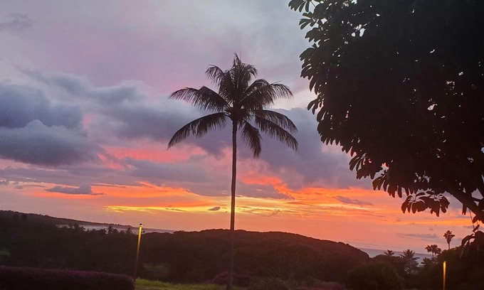 Maunaloa Condo | Front Row - Beautiful Oceanview Ground Floor