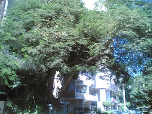 Agouza Apartment | Fully Equipped ,3 BR ,centrally located flat in Mohandsseen
