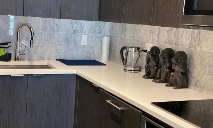 Fort York Condo | Fully Furnished spacious condo unit