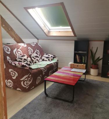 Unterallgau Apartment | GästeZimmer im Altbau Dachgeschoss mit kleinem Bad WLAN, TV und Parkplatz