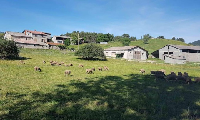 Rosans Apartment | Gîte des Millets en Baronnies