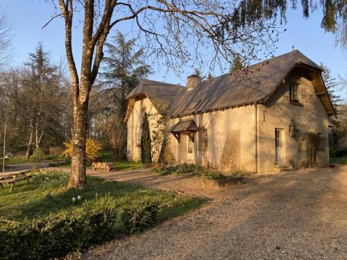 Souvigny-de-Touraine House | Gîte douillet en forêt d'Amboise, parc boisé 2.5 ha, cheminée, vélos, WiFi, jardin privé, animaux acceptés - FR-1-381-457