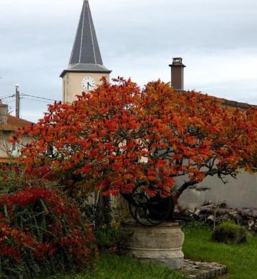 Burthecourt-aux-Chenes House | Gîte le Saloon du Vermois