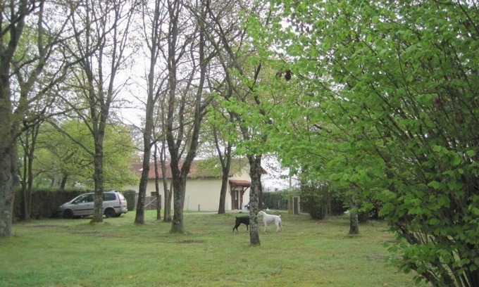 Eugenie-les-Bains House | Gîte Les Chênes - Green surroundings