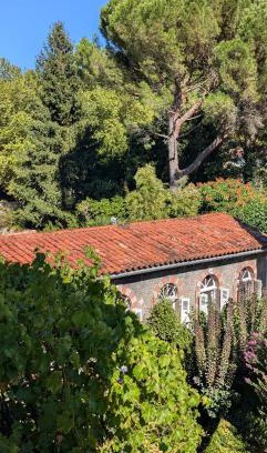Mazamet House | Gîte Wistéria