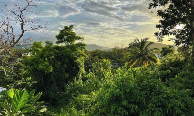 Mata de Platano Apartment | #G Tropical Rainforest Retreat Ocean View w/hottub