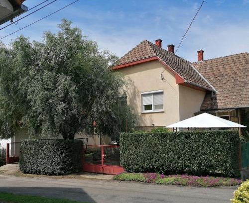 Szolad House | Gabriella Ház