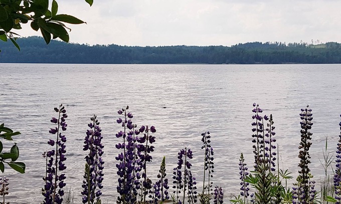 Odskolt House | Gemütliches Schwedenhaus am See, 6 Pers., 2 Schlafzi., Kamin, Natur