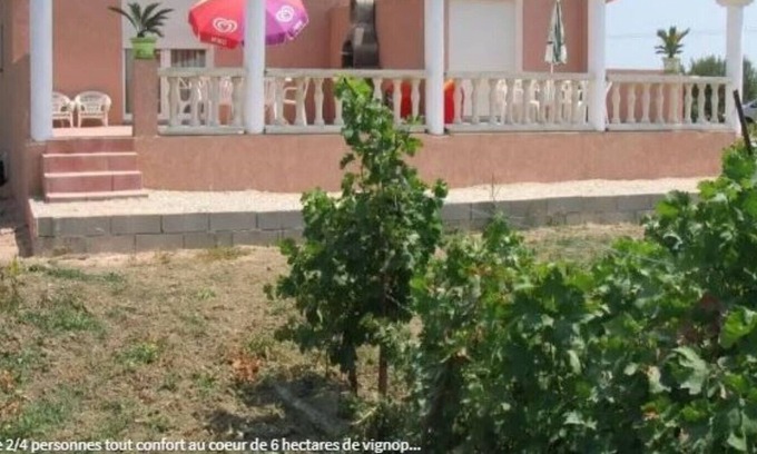 Saint-Laurent-de-la-Salanque Cottage | Gite 2 in the heart of 6 hectares of vineyard - Saint-Laurent-de-la-Salanque