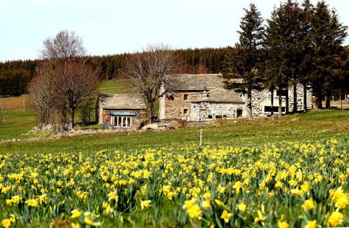 Saint-Front House | Gite Le Buisson - Spa and sauna