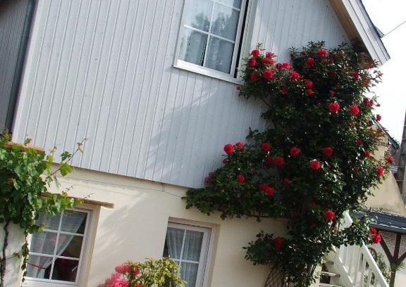 Honfleur Apartment | Gite les Orchidées