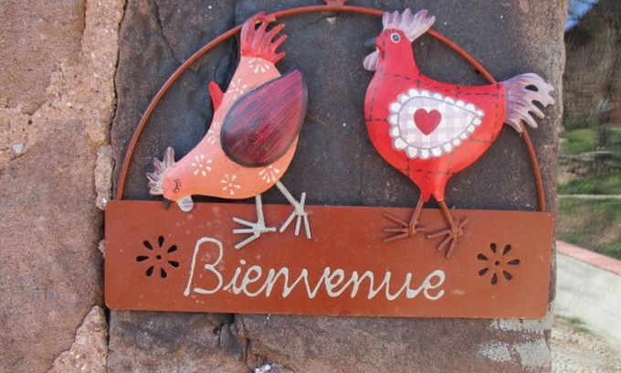 Saint-Cyprien-sur-Dourdou House | Gïte the rooster on the farm with pool
