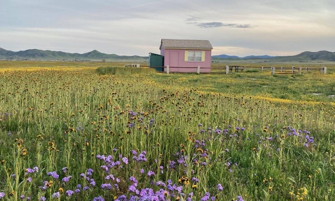 Santa Margarita Cabin | Glamping in the Carrizo Plains