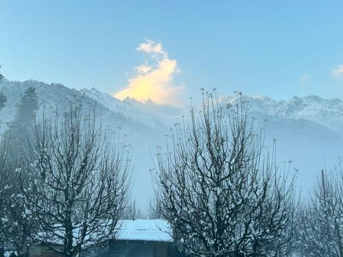 Kullu House | Golden Luck MANN CAFE