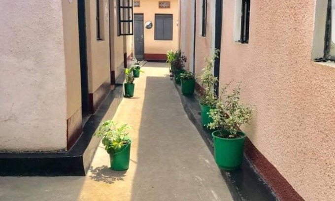 Kisoro House | Golden monkey guest house
