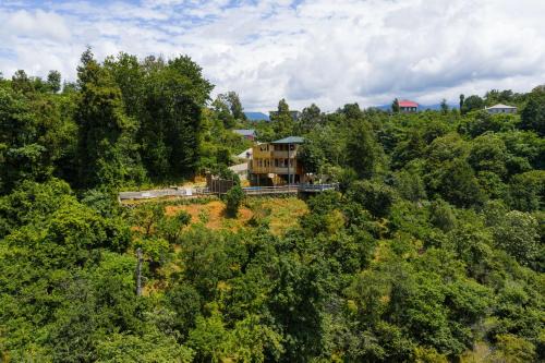 Kobuleti Ski Chalet | GoldenSeaView TreeHouse with Small Private Pool