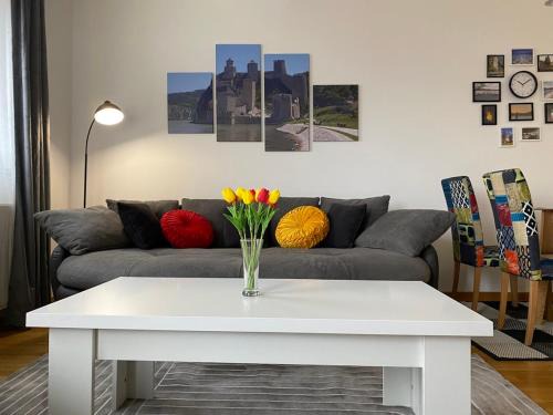 Golubac Apartment | Golubica